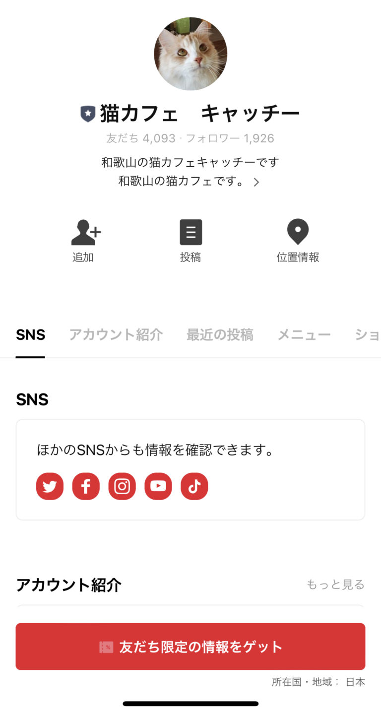 猫カフェ　キャッチャー