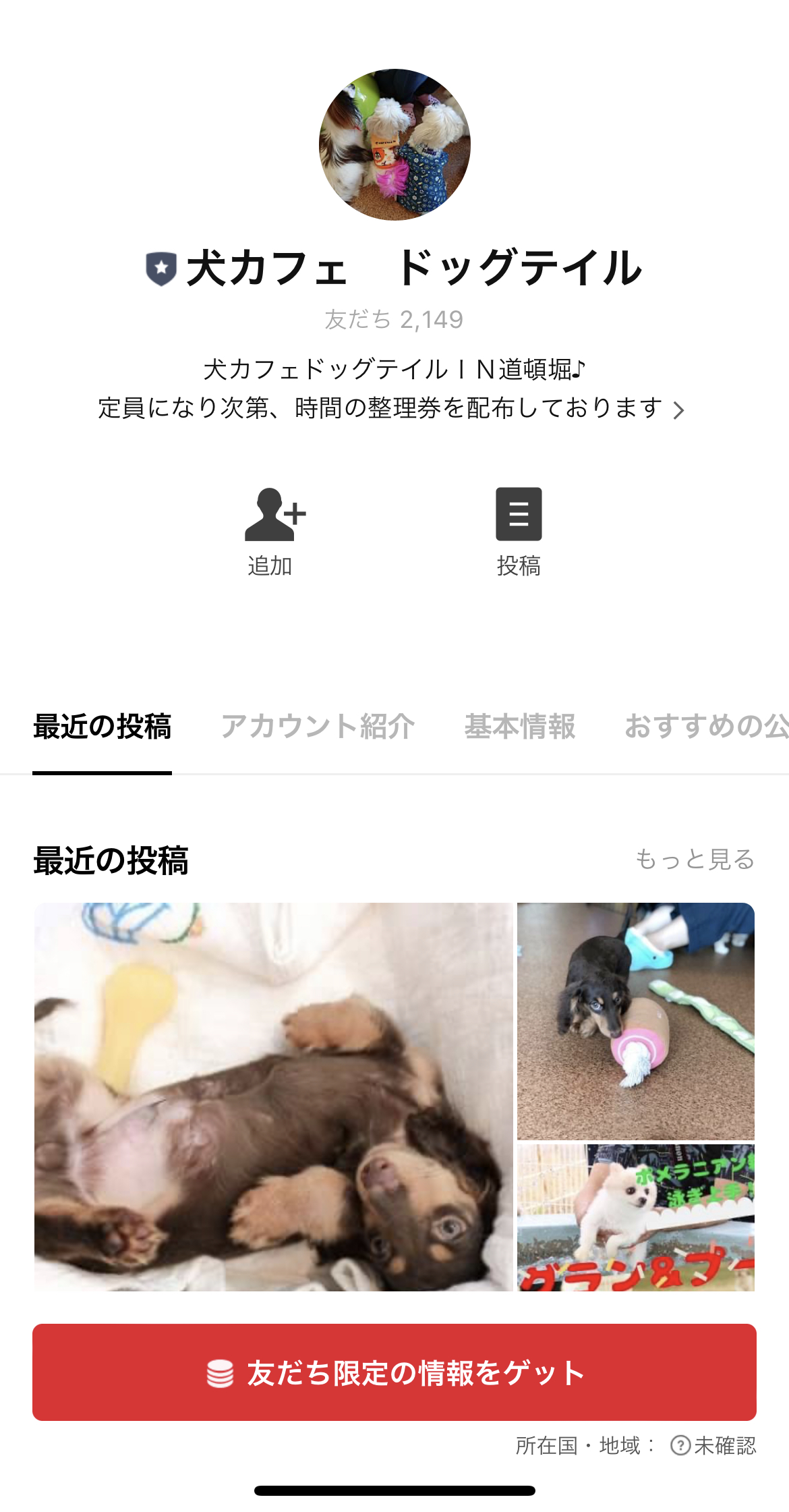 犬カフェ　ドッグテイル