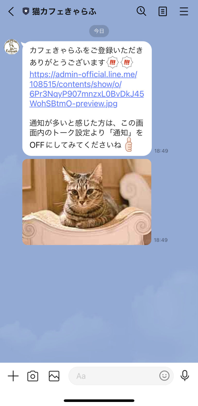 猫カフェきゃらふ