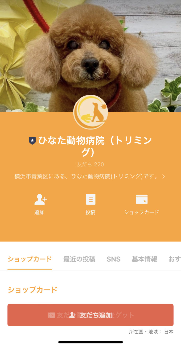 ひなた動物病院（トリミング）