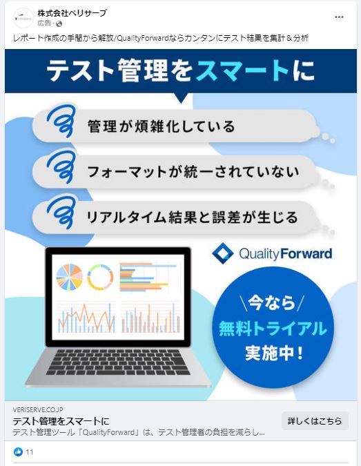 株式会社ベリサーブ