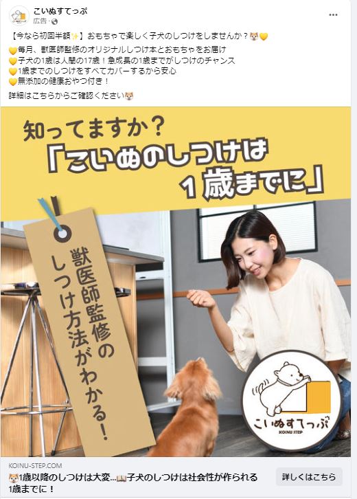 こいぬすてっぷ