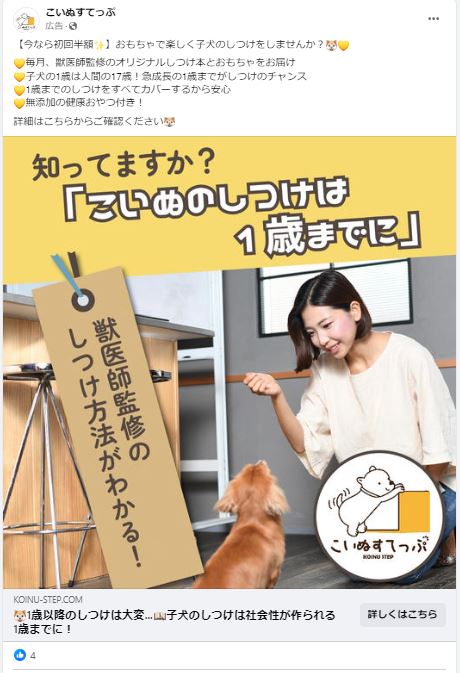 こいぬステップ