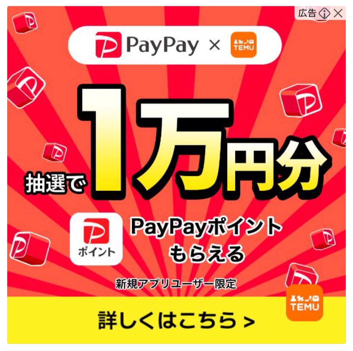 PayPay×TEMU