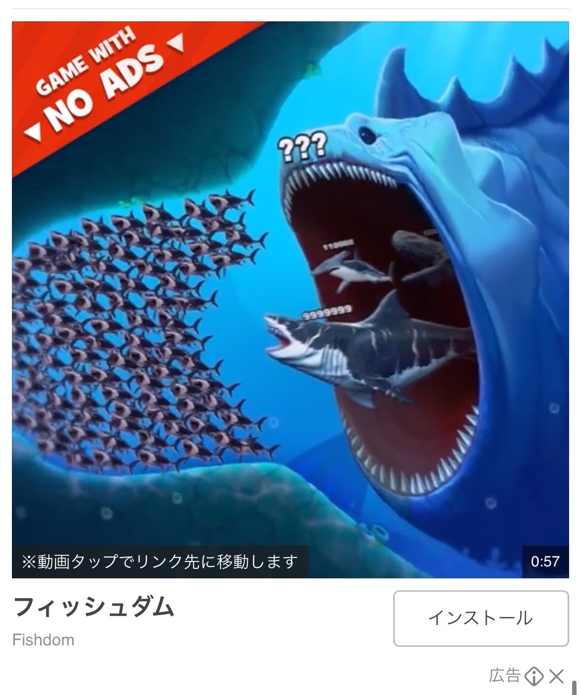 フィッシュダム