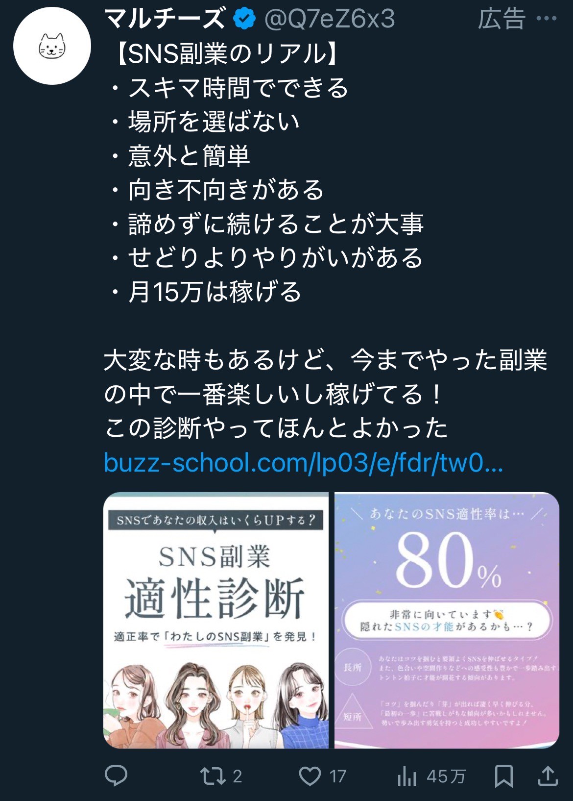 マルチーズ 　【SNS副業のリアル】