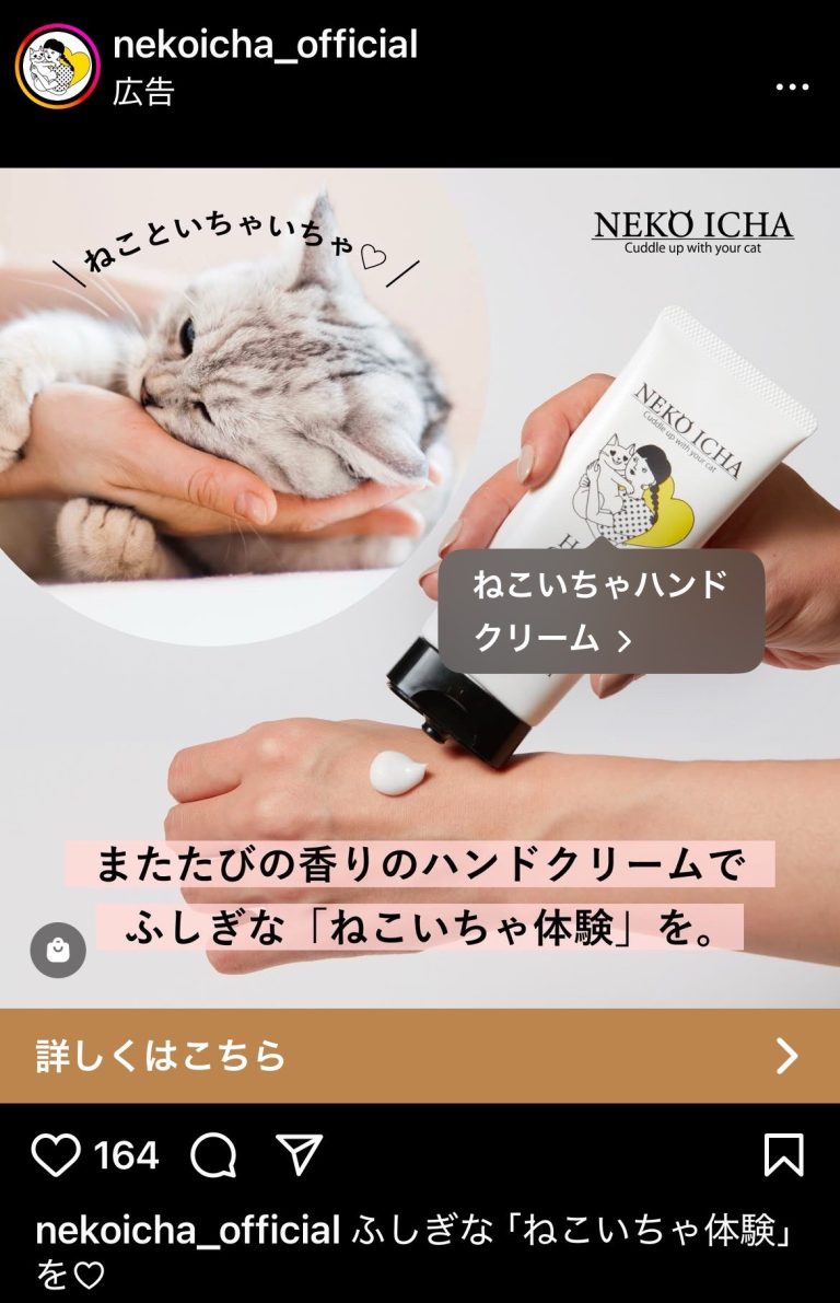 ねこいちゃ体験