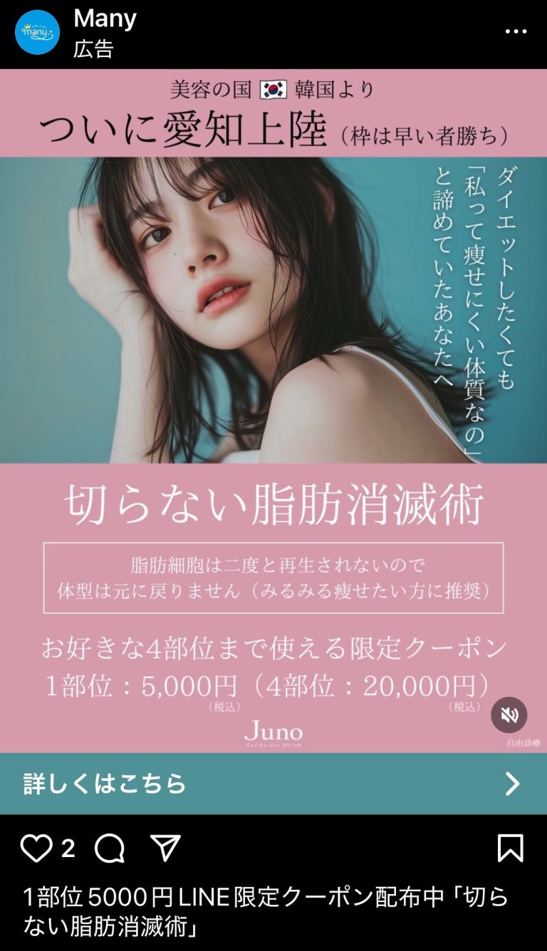 Many　切らない脂肪消滅術