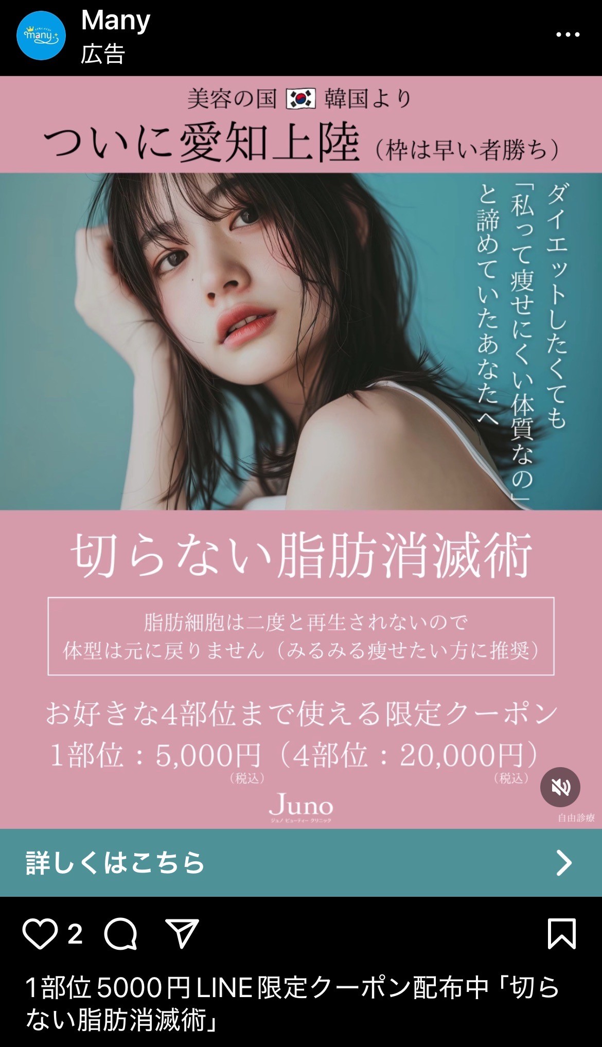 Many　切らない脂肪消滅術