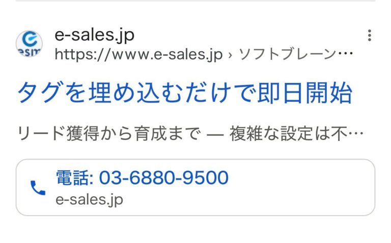 【リスティング広告 代理店 三重】esm (e-sales）